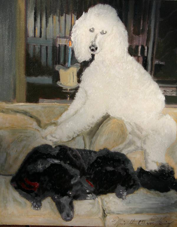 Two Standard Poodles
